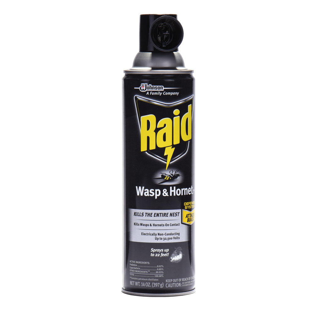 Raid Wasp And Hornet Killer Spray, 14 Oz