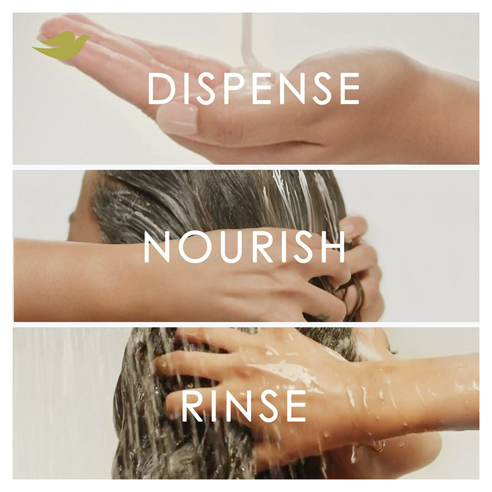 Dove Nutritive Solutions Daily Moisturizing Conditioner, 12 Oz