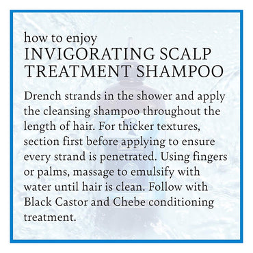 Camille Rose Black Castor Oil and0 Chebe Cleanse, Invigorating Scalp Treatment Shampoo, 12 Oz