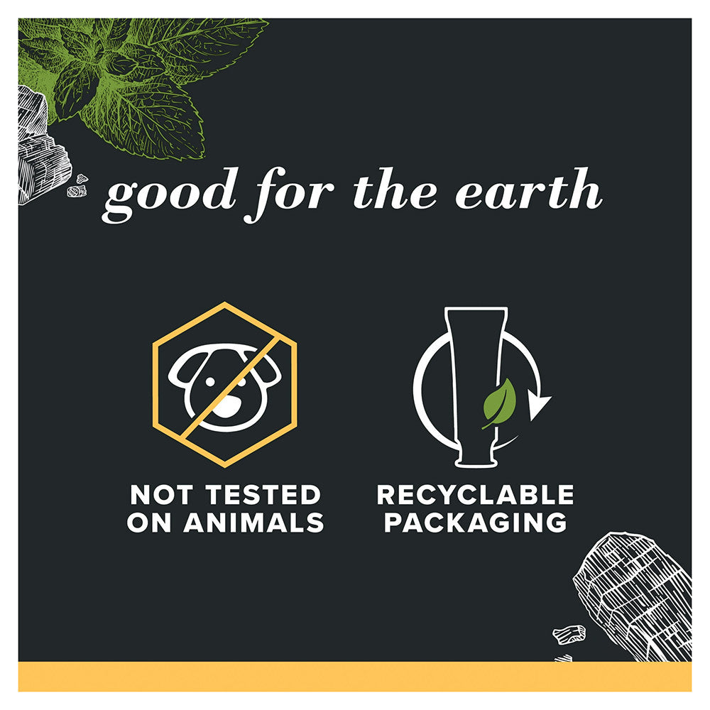 Burts Bees Charcoal and Whitening Toothpaste, Zen Peppermint, 1 Ea