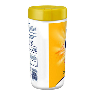 Wet Ones Antibacterial Hand Wipes Canister, Tropical Splash, 40 Ct