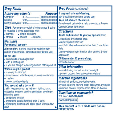 Salonpas Pain Relief Patch Large, 6 Ea