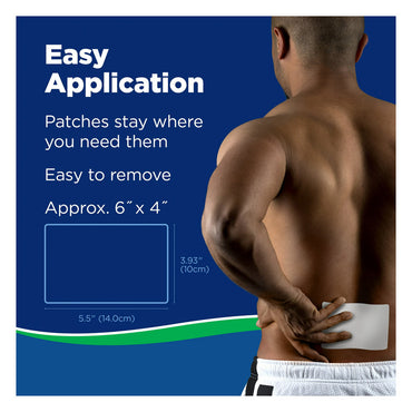 Salonpas Arthritis Pain Relieving Hot Gel-Patch - 6 Ea