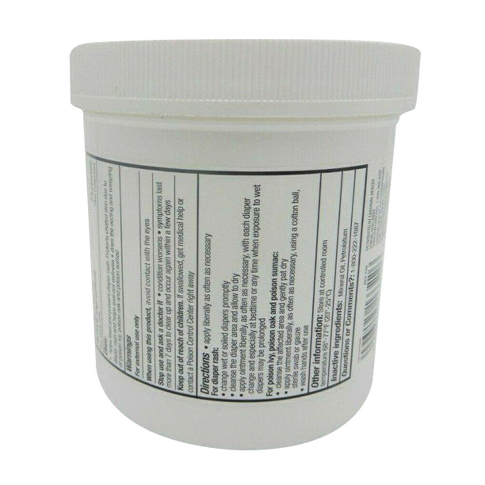 Leader Zinc Oxide Skin Protectant Ointment, 16 oz