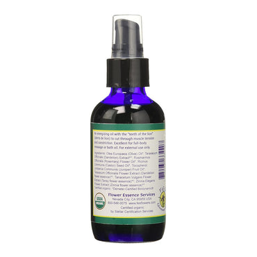 Flower Essence Dandelion Dynamo Pump Top - 4 Oz