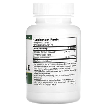 Mushroom Wisdom Super Lions Mane, Vegetable Tablets, 120 Ea