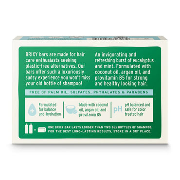 Brixy Shampoo Bar for Hair, Mint Eucalyptus, 4 Oz