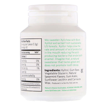 XyliChew Soft Chewing Gum Pieces Spearmint Flavor, Sugar Free, 60 ea