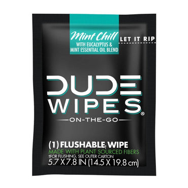 Dude Wipes Mint Chill On-The-Go Flushable Personal Wipes, 30 Ea