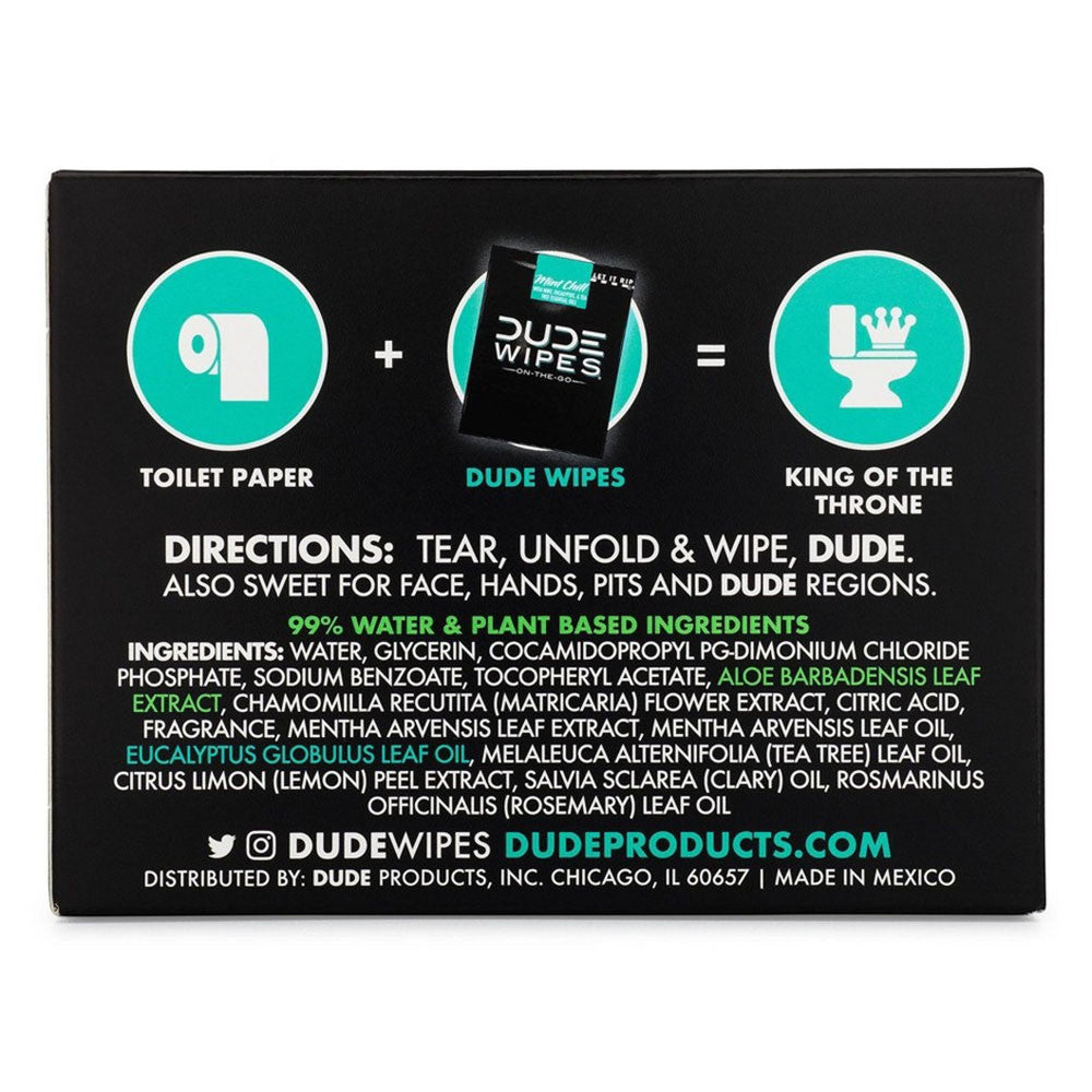 Dude Wipes Mint Chill On-The-Go Flushable Personal Wipes, 30 Ea