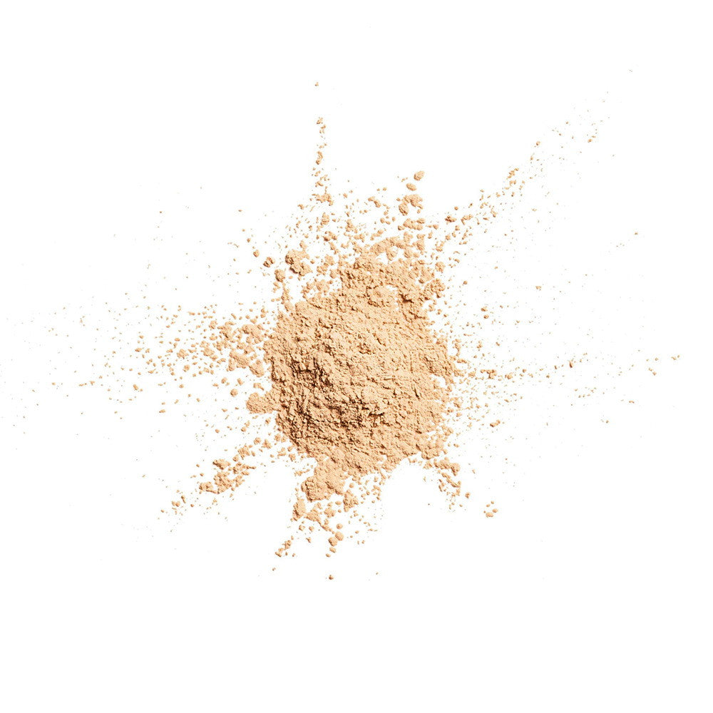 CoverGirl Professional Loose Finishing Powder, Translucent Light Tone, 0.7 Oz
