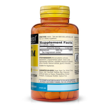 Mason Natural Magnesium 500 Mg Extra Strength Tablets - 100 Ea