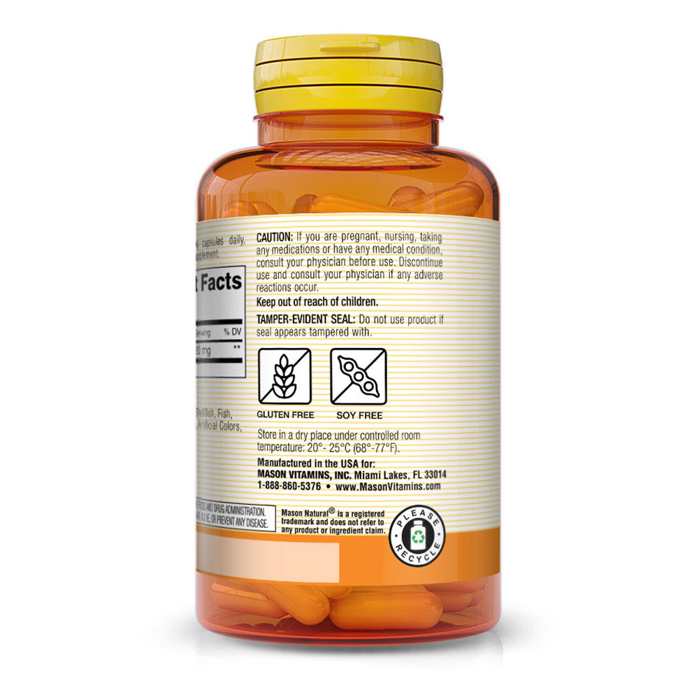 Mason Natural Activated Vegetable Charcoal Capsules, Digestive Aid - 60 Ea