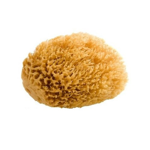 Greek Sea Sponge Unbleached Brown Fino Silk Large Size Adult Bath 6 Inch 1Ea
