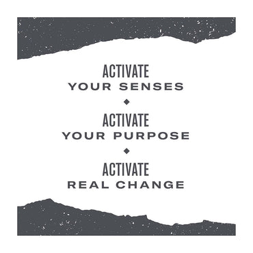 Numi Organic Turmeric Amber Sun, Tea Bags, 12 Ea