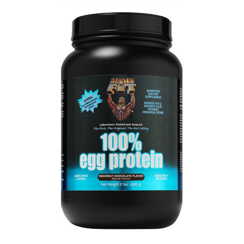 Healthy N Fit 100% Egg Protein Supplement Powder, Heavenly Chocolate, 2 Lbs