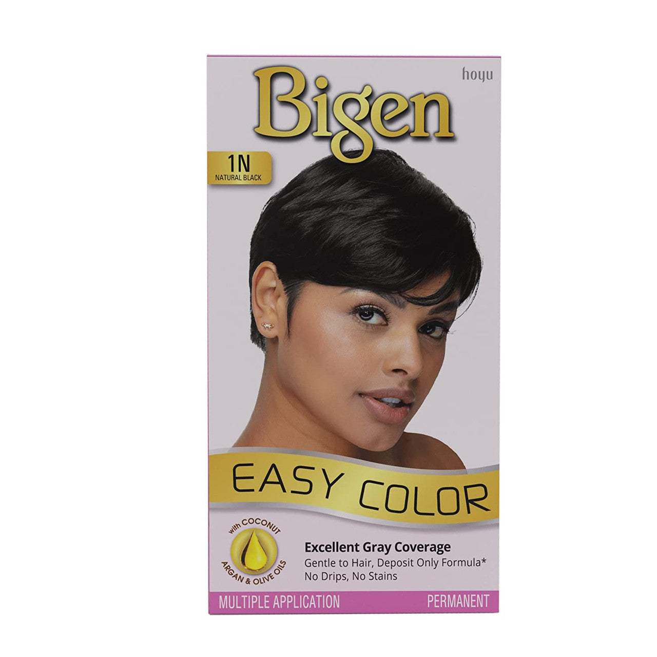 Bigen Easy Hair Color #1n Natural Black Kit, 1 Ea