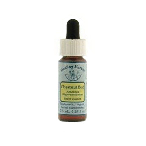 Flower Essence Chestnut Bud Herbal Supplement Dropper - 0.25 Oz