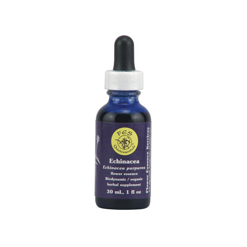 Flower Essence Echinacea Dropper for Core Integrity 1Oz (30ml)