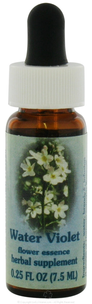 Flower Essence Water Violet Dropper for Warmth in Relationships 0.25Oz (7.5ml)