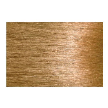 Bigen Women Easy Color High Lift Permanent Hair Color, 6HB Honey Blonde, 1 Ea