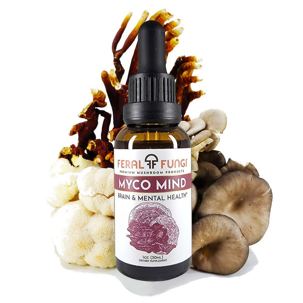 Feral Fungi Myco Mind Spagyric Tincture Supports Brain and Mental Health 1Oz (30ml)