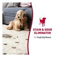 Natures Miracle Dog Stain and Odor Remover Foam, 17.5 Oz
