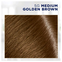 Clairol Nice N Easy Root Touch-Up, Hair Color, Medium Golden Brown #5G - Kit