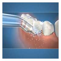 Waterpik #Pp-100E Replacement Pik Pocket Tips That Fits Model #Wp100 - 2 Ea/Pack