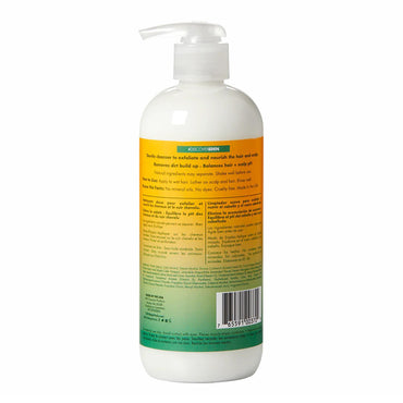 Eden Bodyworks Papaya Castor Scalp Cleanser, 12 Oz