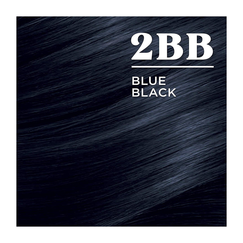 Clairol Nice N Easy 2BB Blue Black Hair Color Permanent Hair Color, Natural Blue Black #124 - Kit