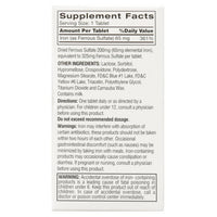 Feosol Ferrous Sulfate High Potency Iron Tablets, Original, 120 Ea