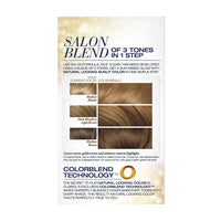Clairol Nice N Easy Hair Color, 8GN Natural Medium Golden Neutral Blonde, 1 Kit