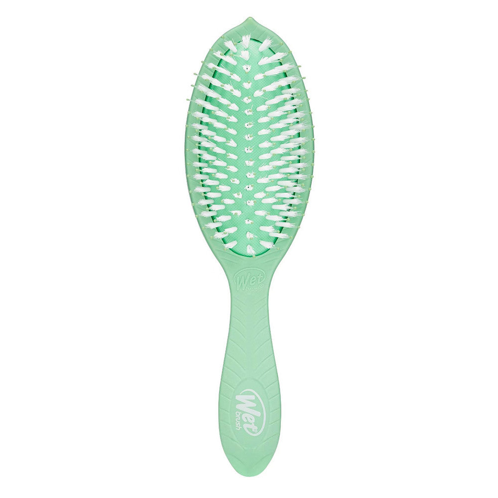Wet Brush Go Green Treatment and Shine Brush, 1 Ea