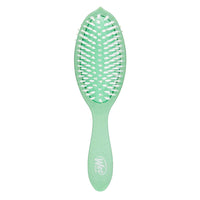 Wet Brush Go Green Treatment and Shine Brush, 1 Ea