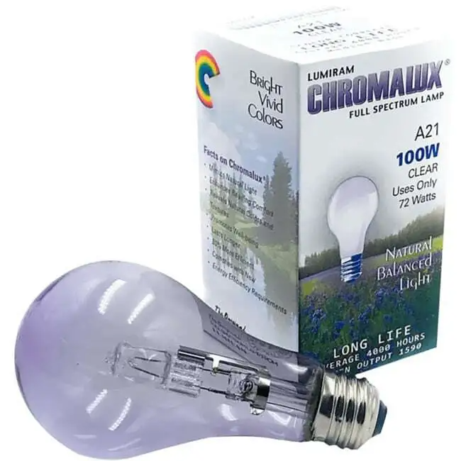 Chromalux Full Spectrum A21 Clear Bulb 100W, 1 Ea