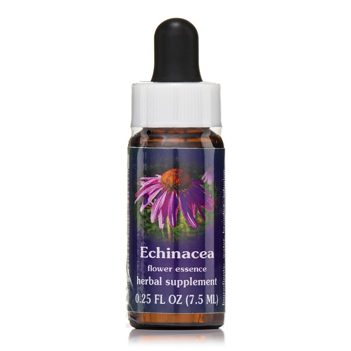 Flower Essence Echinacea Dropper for Core Self Integrity 0.25Oz (7.5ml)