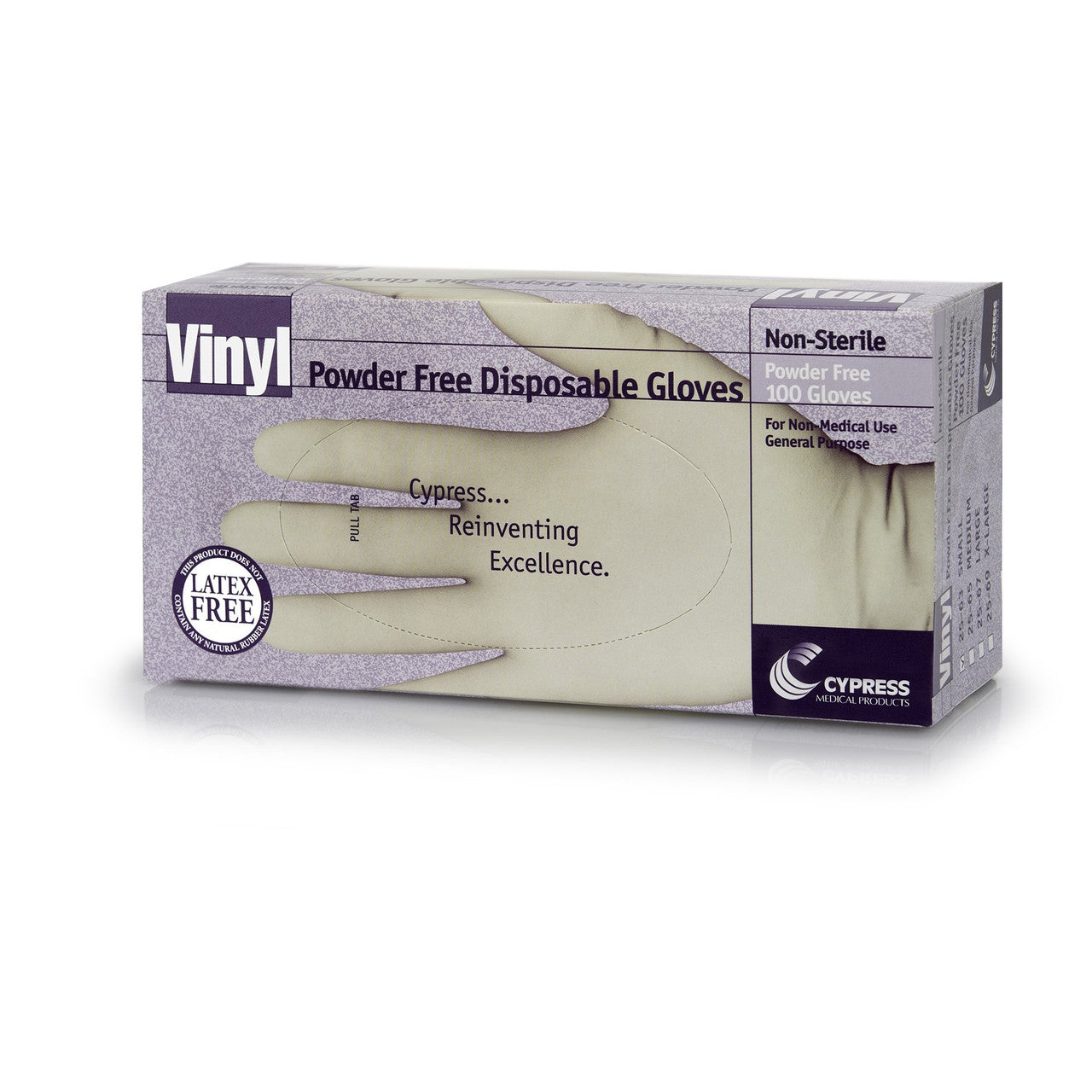 Vinyl Powder Free Disposable Gloves, Small, 100 Ea