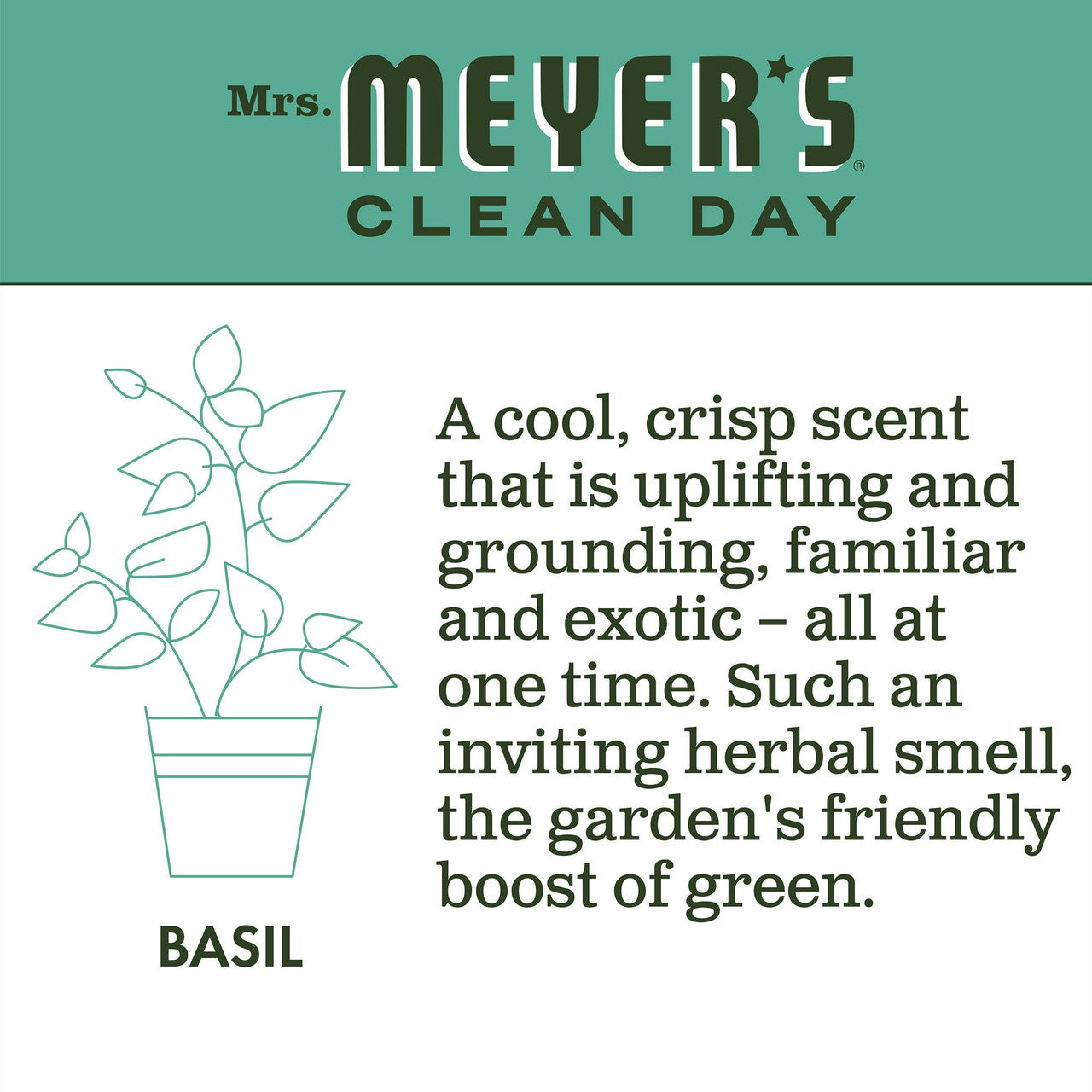 Mrs. Meyers Clean Day Liquid Dish Soap, Basil Scent, 16 oz