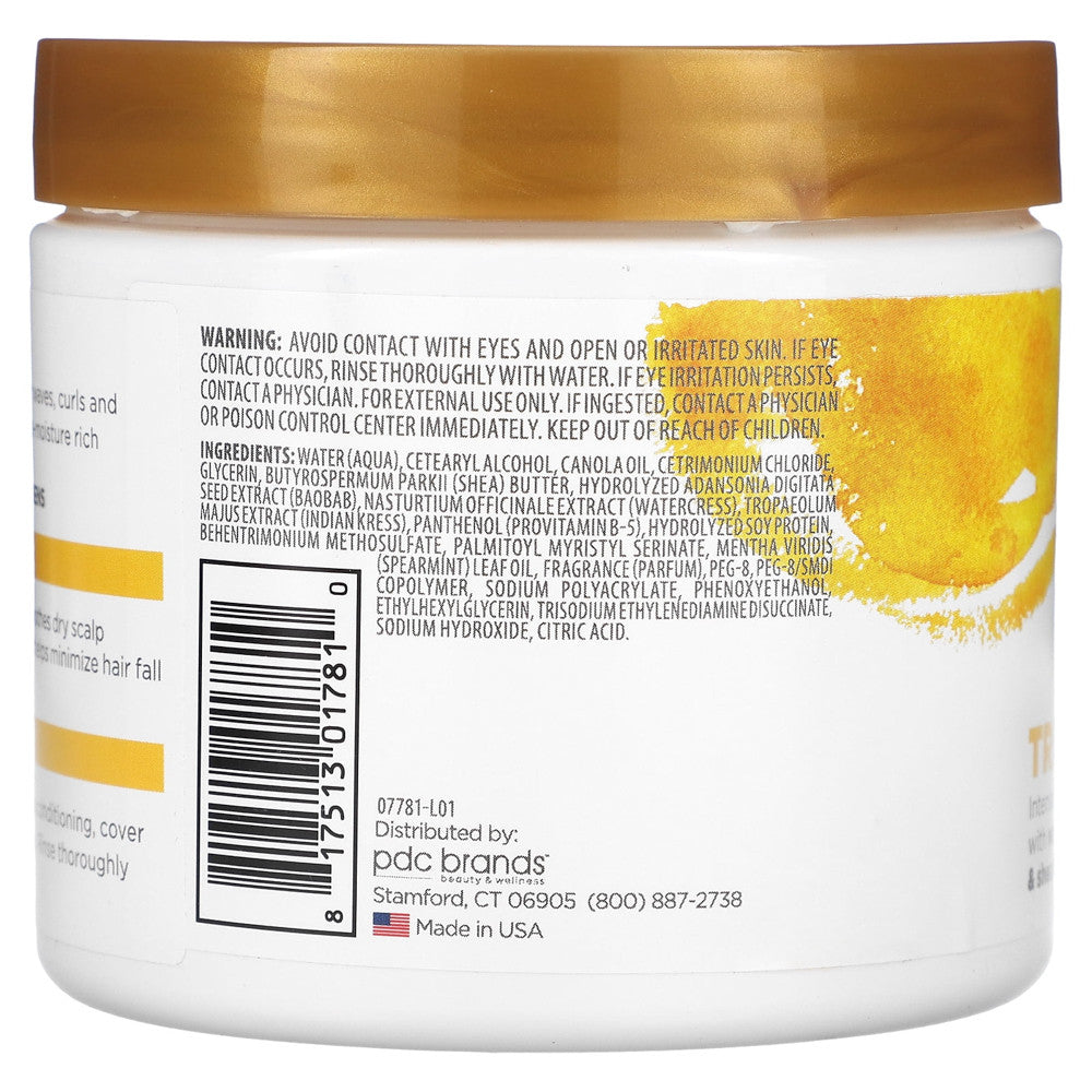 Cantu Txtr Strengthen Plus Restore Treat Moisture Mask, 14 Oz