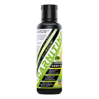 Amazing Nutrition Amazing Muscle L Carnitine 3000 Supports Fast Recovery From High Intensity Workouts, Lemon Lime, 16 Oz