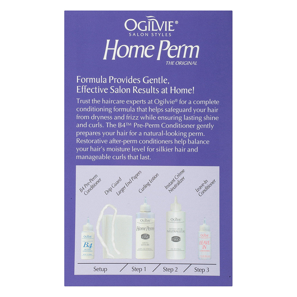 Ogilvie Salon Styles Home Perm for Color Treated Hair, 1 Ea