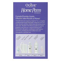 Ogilvie Salon Styles Home Perm for Color Treated Hair, 1 Ea