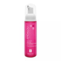 Andalou Naturals 1000 Roses Gentle Cleansing Foam for Sensitive Skin, 5.5 Oz