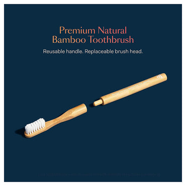 Better and Better Natural Bamboo Toothbrush, Soft Bristles, Replaceable Brush Head, White, 1 Ea