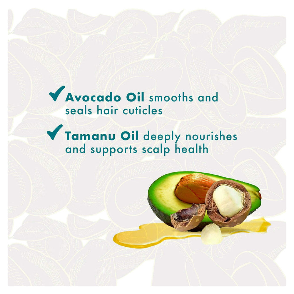 Mielle Avocado and Tamanu Anti Frizz Conditioner for All Hair Types, 12 Oz