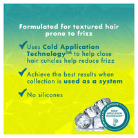 Mielle Avocado and Tamanu Anti Frizz Conditioner for All Hair Types, 12 Oz