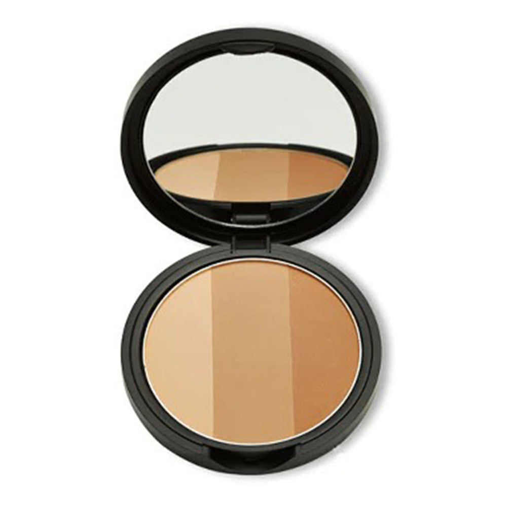 Too Cool for School Artclass By Rodin Facial Contour Palette Shading Classic 0.33Oz (9.5g)