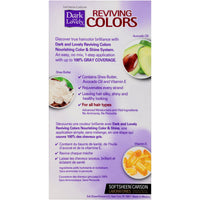 Dark And Lovely Relax And Color Same Day 392 Haircolor, Ebone Brown, 1 Kit
