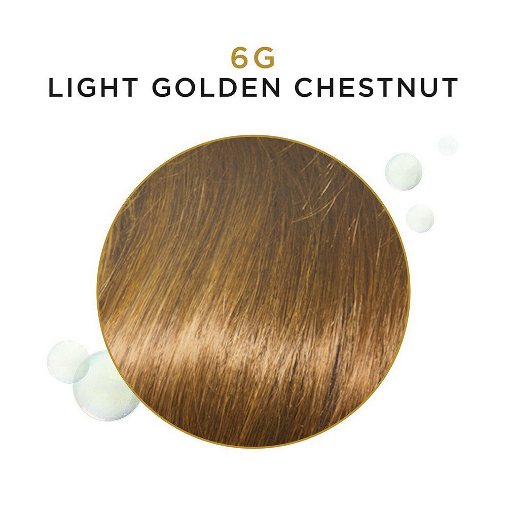 Clairol Beautiful Collection 6G Light Golden Chestnut Semi-permanent Hair Color, 3 oz